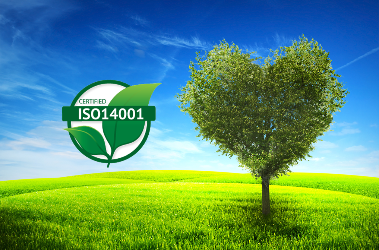 Исо 14001. Международный стандарт ISO 14001. Экологический менеджмент ИСО 14001. Сэм экологический менеджмент. Система экологического менеджмента ISO.