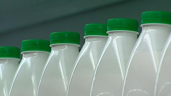 Продукцию с содержанием растительных жиров теперь не спутать с молочной