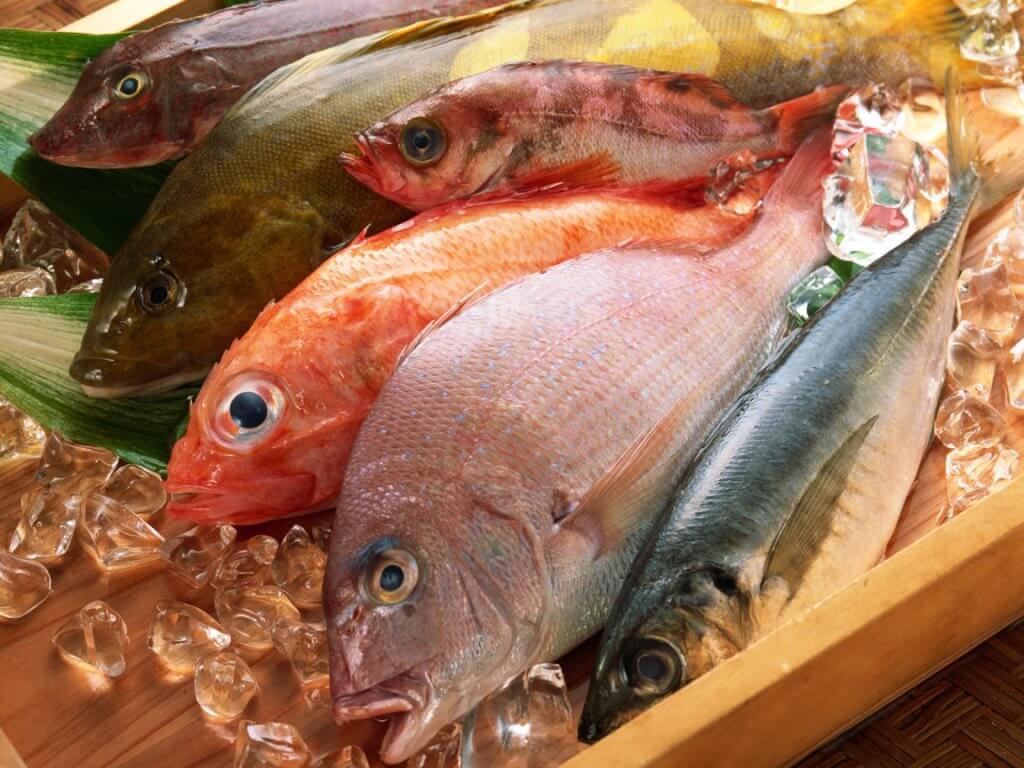 Безопасность рыбной продукции